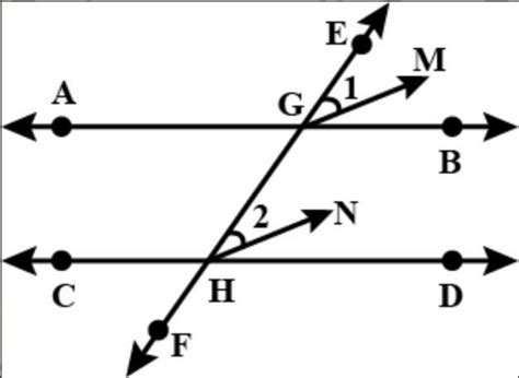 Q16. If two parallel lines are intersected by a transversal, show that ...