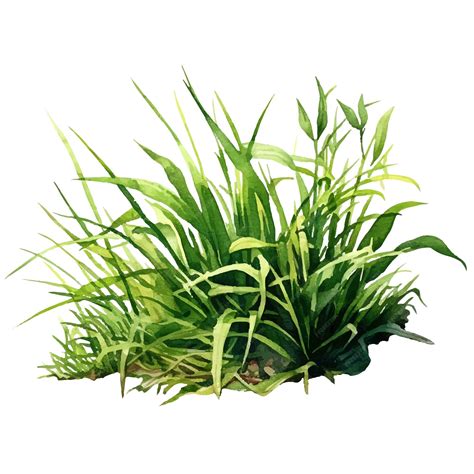 Image result for Watercolor Grass Tutorial