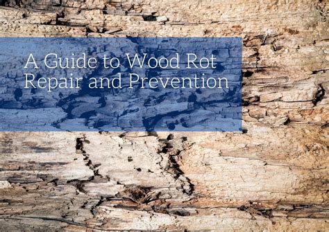 A Guide to Wood Rot Repair and Prevention | Blog