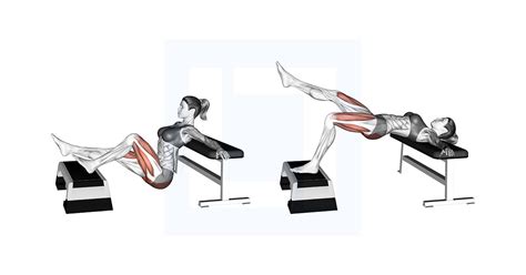 Image result for Hip Thrust Muscles