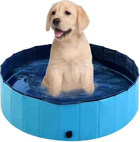 Amazon Collapsible Dog Pool at John Mcfadden blog