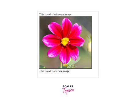 Image result for Display HTML