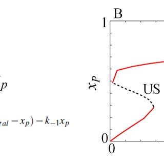 Image result for Bi-Directional Feedback Loop