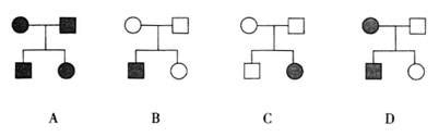 29．和黑身分别受一对等位基因控制.Bb基因位于常染色体上.Rr基因位于X染色体上.下表是杂交实验结果: P 灰身♀×黑身♂ 红眼♀×白眼♂ ...