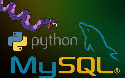 MySQL-python Tech with Tim 的图像结果