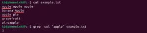 Image result for Grep Create Output File
