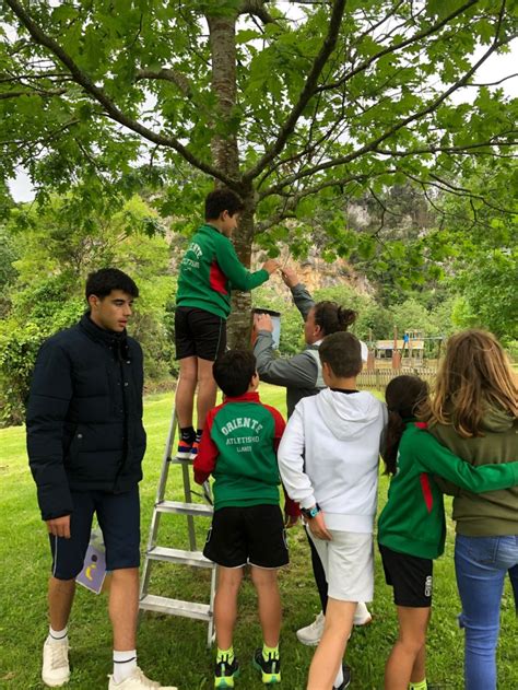 Ribadesella se prepara para diseñar su tercer Plan de Infancia y ...
