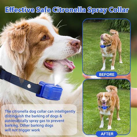 Citronella Anti Barking Control Spray Collar for L/M/S Dogs Review | My ...