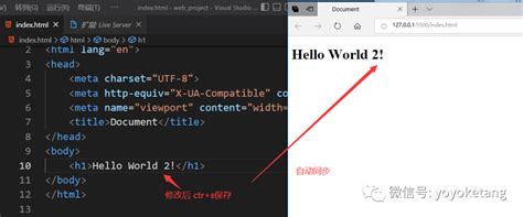 vs Code Live Preview HTML 的图像结果