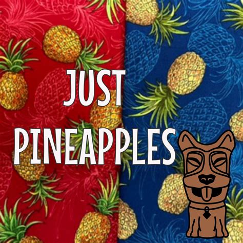 Just Pineapples | Dog Harness | Tiki Pet Collars