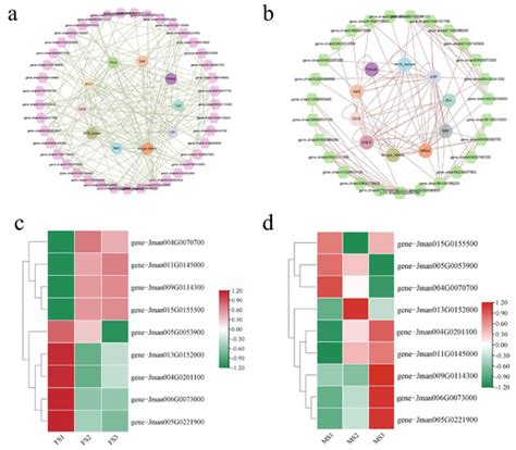 Characterization of Phytohormones and Transcriptomic Profiling of the ...
