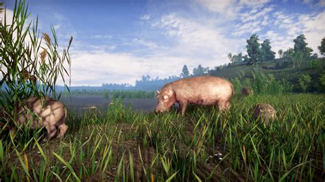 Lightning Fast Game 的图像结果