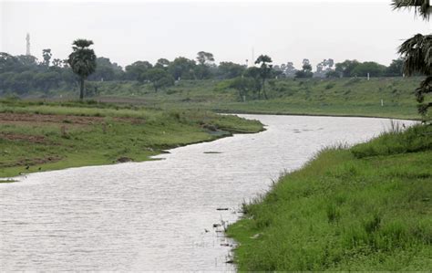 Bringing Life back to Champa River – SANDRP