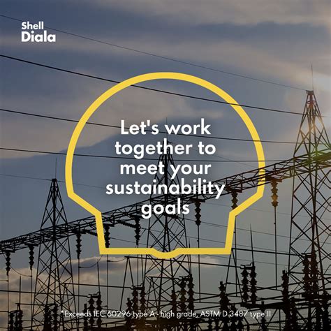 Image result for Shell Diala