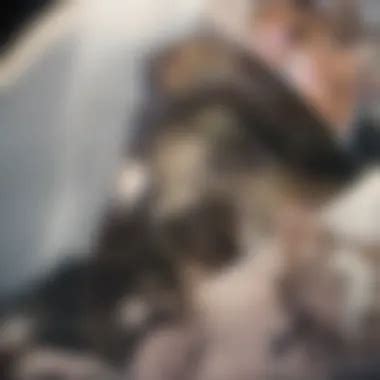 Image result for DNA vs RNA Extraction