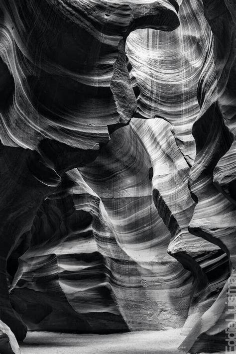 Ansel easton adams grass glacier bay national monument alaska the metropolitan museum of art – Artofit