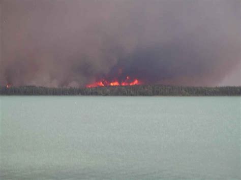 Image result for Forest Fire Project