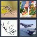 4 Pics 1 Word 7 letter answers