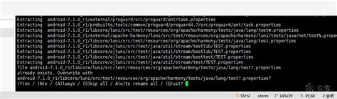 7Z.exe Application Error 的图像结果