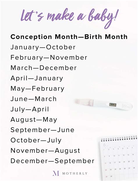 What Month Will Baby Be Born: Due Date Calculator - Motherly