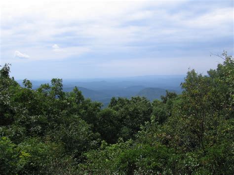 View from Springer Mountain, Georgia