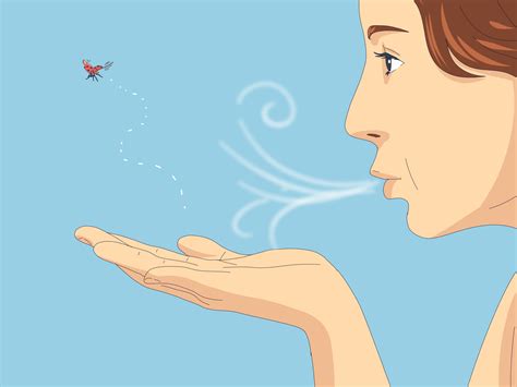 ¿Qué significa cuando una mariquita aterriza sobre ti? Suerte y más