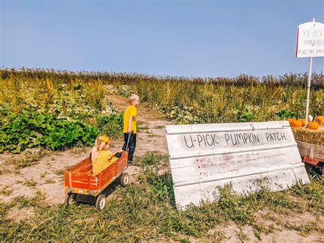 The Best St. Louis Area Pumpkin Patches, Corn Mazes, and Apple Picking ...