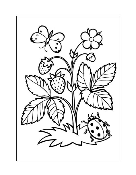 Strawberry Plant Coloring Page Strawberry Shortcake's Garden Gala