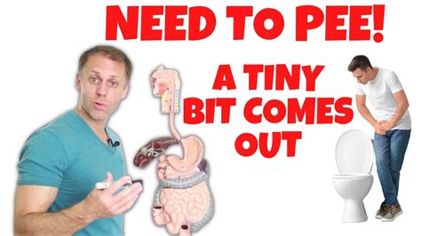 Image result for Help Me Go Pee