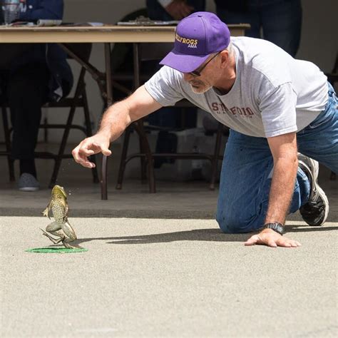 Image result for Frog Jumping Contest
