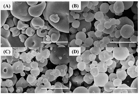 Berberine-Coated Biomimetic Composite Microspheres for Simultaneously ...