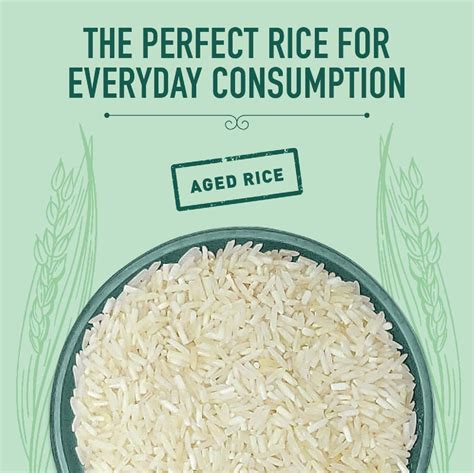 Dgroce.com - India Gate Basmati Rice - Regular Choice - 1 Kg