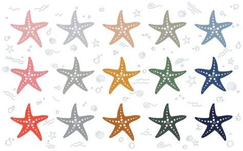 Premium Vector | Vector of the boho color starfish