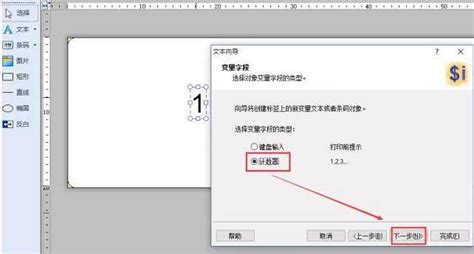 NiceLabel SE打印流水号编辑教程_软件指导_技术服务_上海登元信息技术有限公司