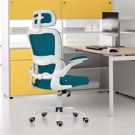 Drogo Ergonomic Office Chair for Work from Home Computer Chair with ...