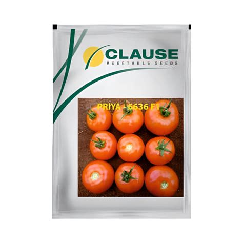 Buy Tomato Seeds Online in India Under 399 | DesiKheti – Desikheti