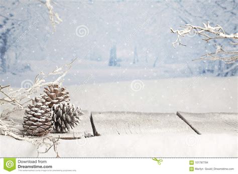 冬天圣诞节场面 库存照片. 图片 包括有 白兰地酒, 下降, 场面, 下雪, 古尔德, 雪花, 圣诞节 - 101787784
