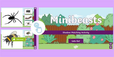 Interactive Minibeasts Shadow Matching Activity | Twinkl Go!