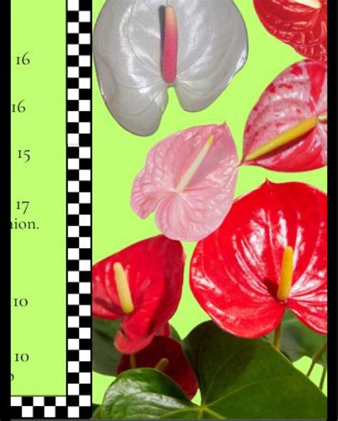 The Ruby Fruit (@therubyfruit) • Instagram photos and videos