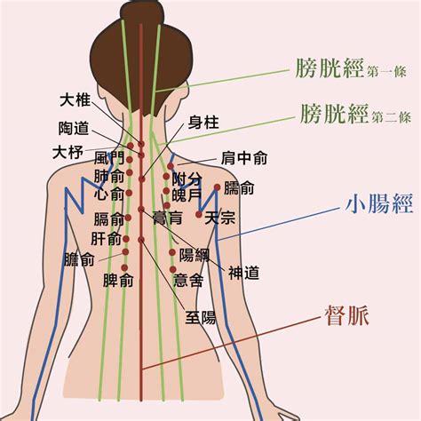 按摩推拿SPA场景图片素材-正版创意图片401720952-摄图网