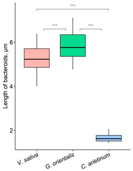 Cells | Special Issue : The Role of the Plant Cytoskeleton in Signal ...