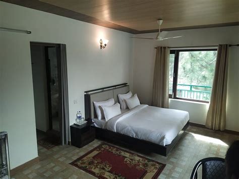 PINELAND RESORT AND CHALETS (Dharampur) - Guesthouse Reviews, Photos ...