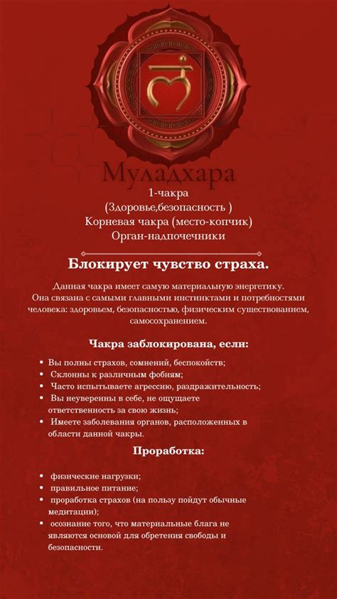 Чакра Муладхара | Çakralar