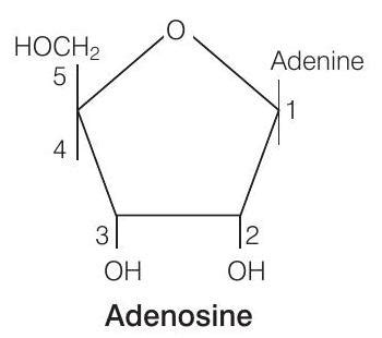 SATHEE: Biomolecules