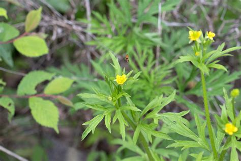 Image result for Test Spring Squareness
