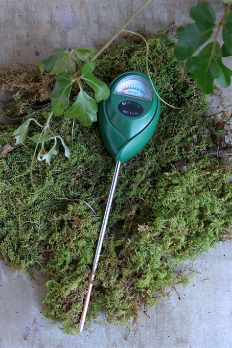 Using Plant Moisture Meter 的图像结果
