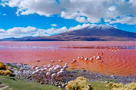 A Bolivia Salt Flats Tour in Uyuni: Everything You Need to Know - The ...
