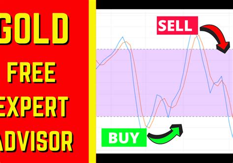 MACD Expert Advisor 的图像结果