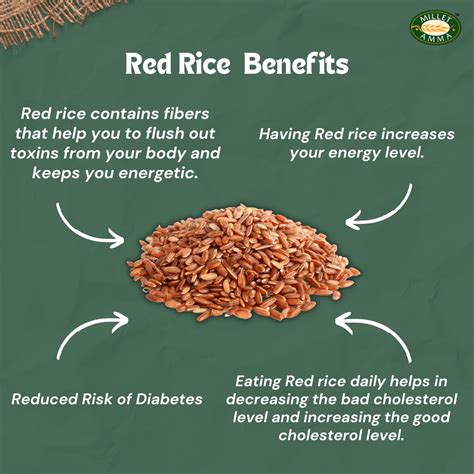 Red rice organic 500gm | Buy Unpolished red rice Price - Millet Amma