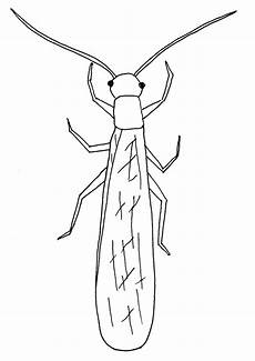 insekten malvorlagen insekten malvorlagen malvorlagen kostenlose malvorlagen insekten malvorlagen insekten malvorlagen malvorlagen kostenlose malvorlagen